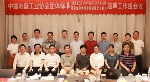 中國電器工業(yè)協(xié)會(huì)與遠(yuǎn)東電纜起草工作會(huì)